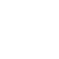 Troen Logo
